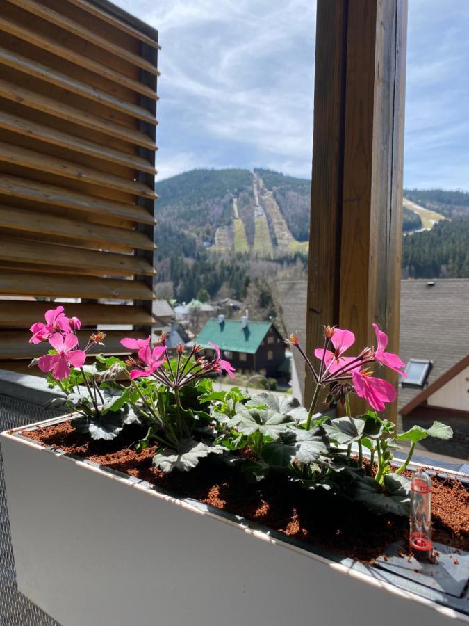 Luxusni Apartman U Sjezdovek S Garazi Harrachov Bagian luar foto