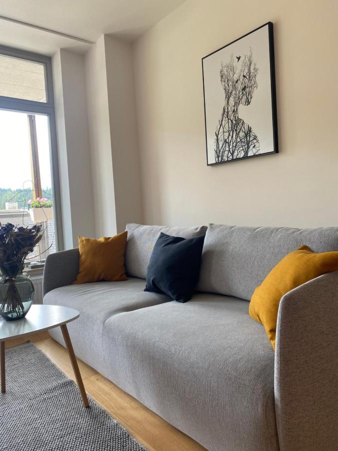 Luxusni Apartman U Sjezdovek S Garazi Harrachov Bagian luar foto